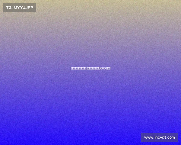 纽卡计划再次报价维萨 转会费预计将突破3000万英镑